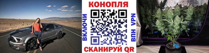 Как найти закладки Киржач ГАШ Бошки Шишки Alpha-PVP Мефедрон Cocaine