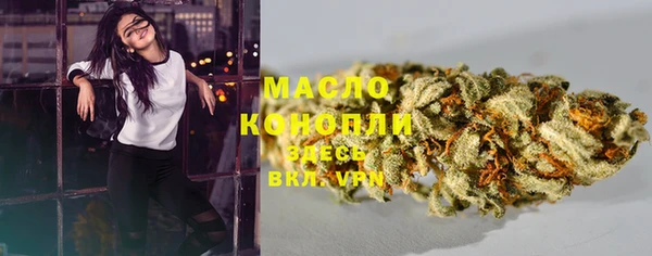 дмт Ладушкин