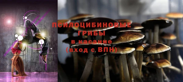дживик Лихославль