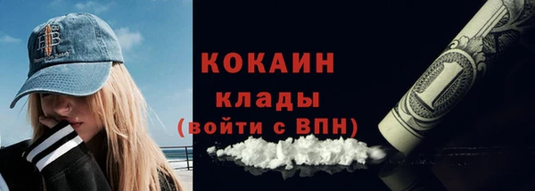 крисы Лагань