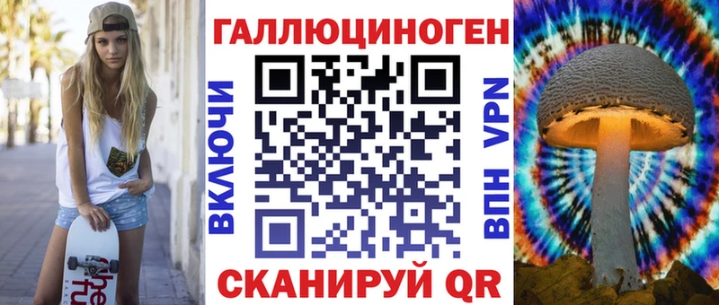 Псилоцибиновые грибы Psilocybine cubensis  Киржач 